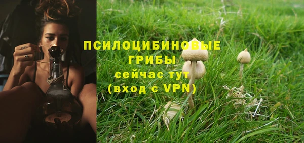 героин Богородицк