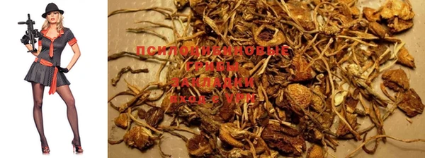 мяу мяу кристалл Богданович