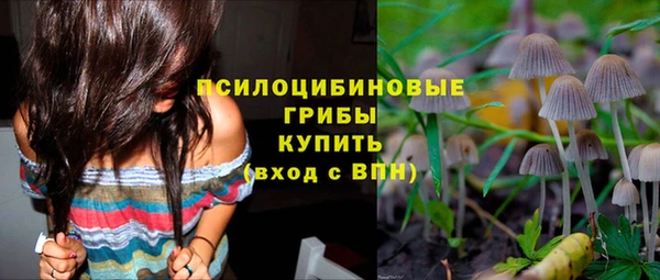 мяу мяу кристалл Богданович