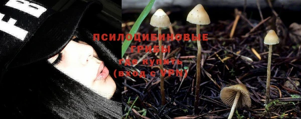 мяу мяу кристалл Богданович