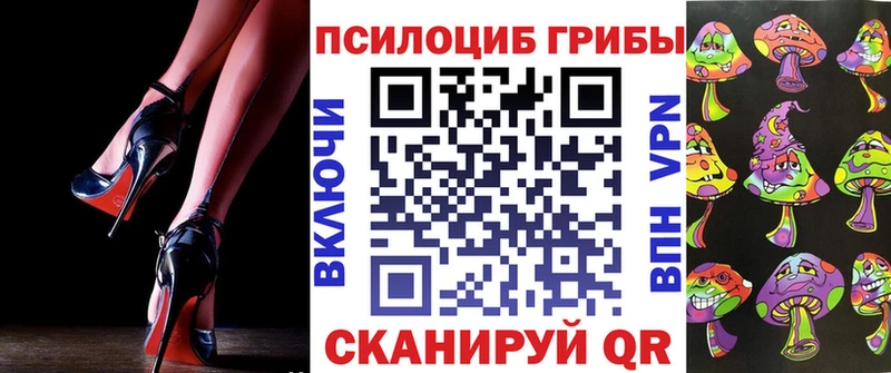 Псилоцибиновые грибы мицелий  hydra как войти  Котовск 